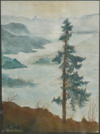 Karoline Ott: Nebel im Bergtal